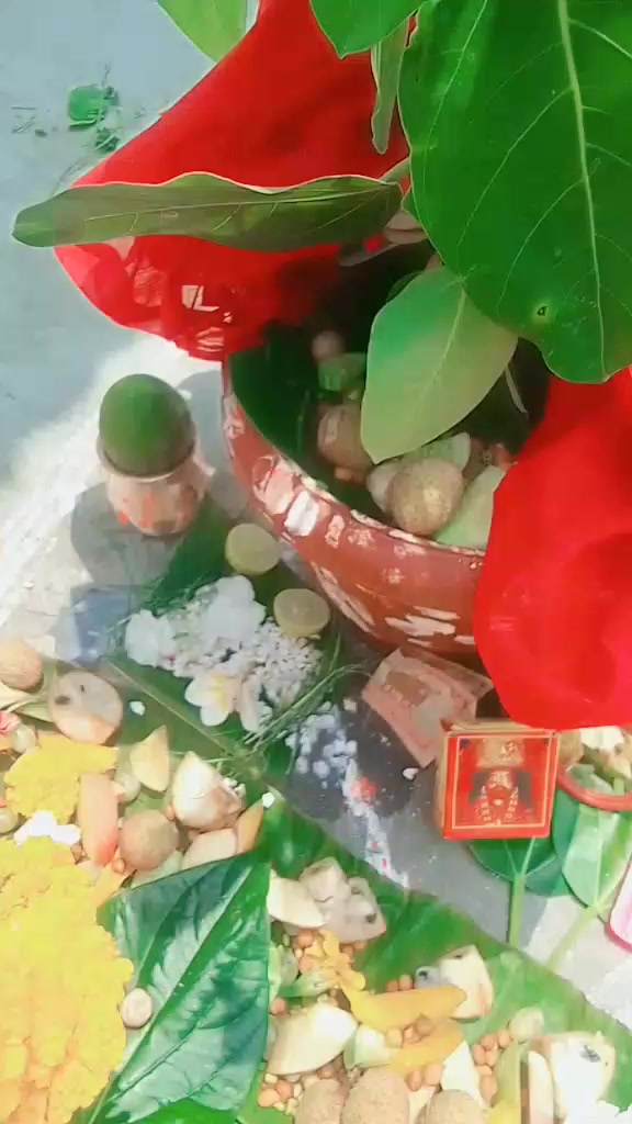 @thakursadhana000