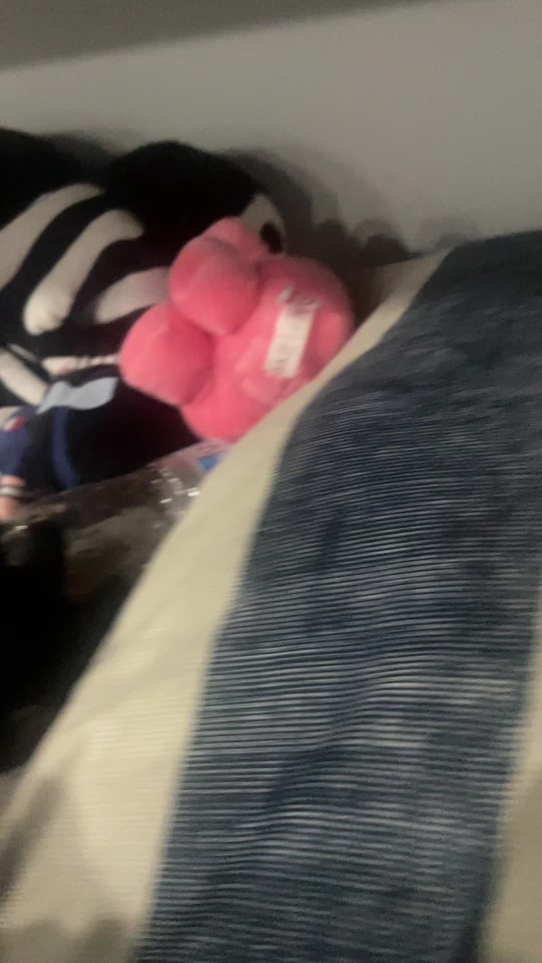 @thegermancat