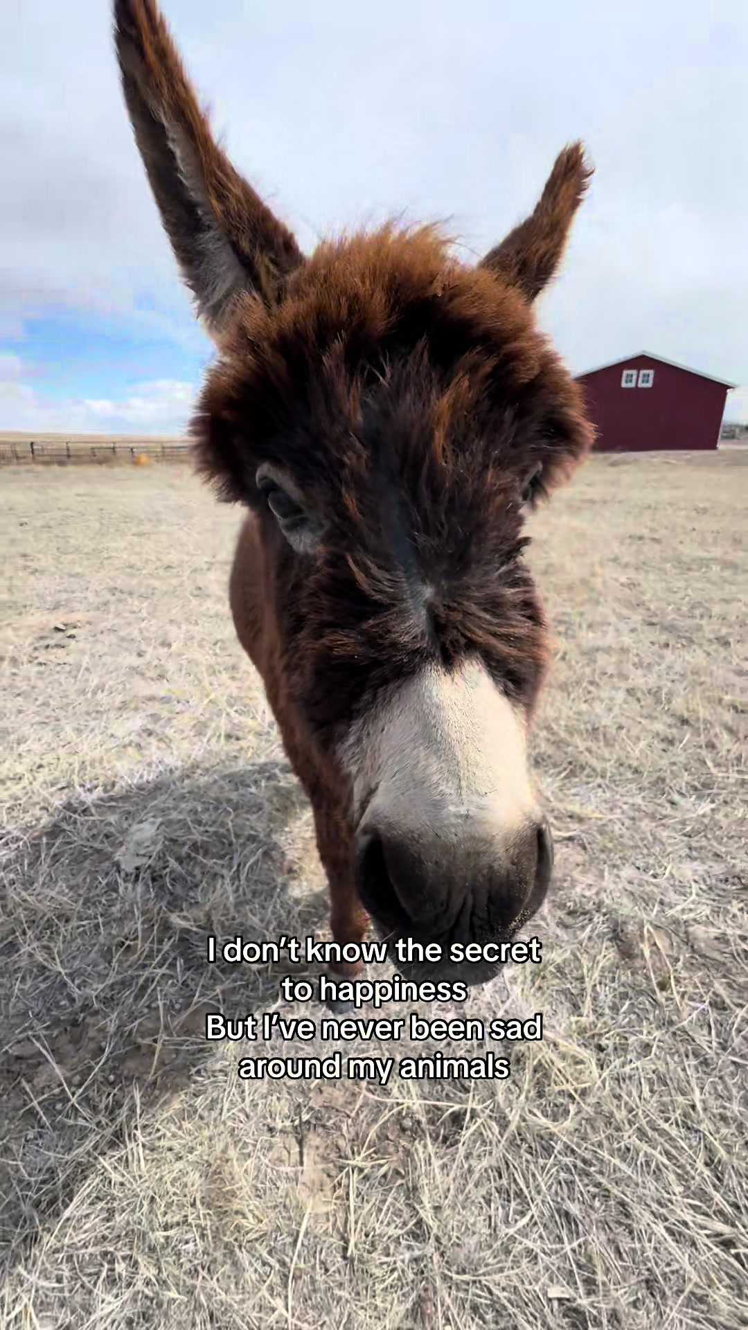 @Sandy Acres Farm