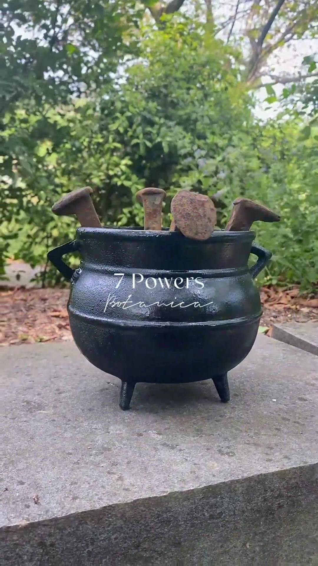 @7 Powers Botanica