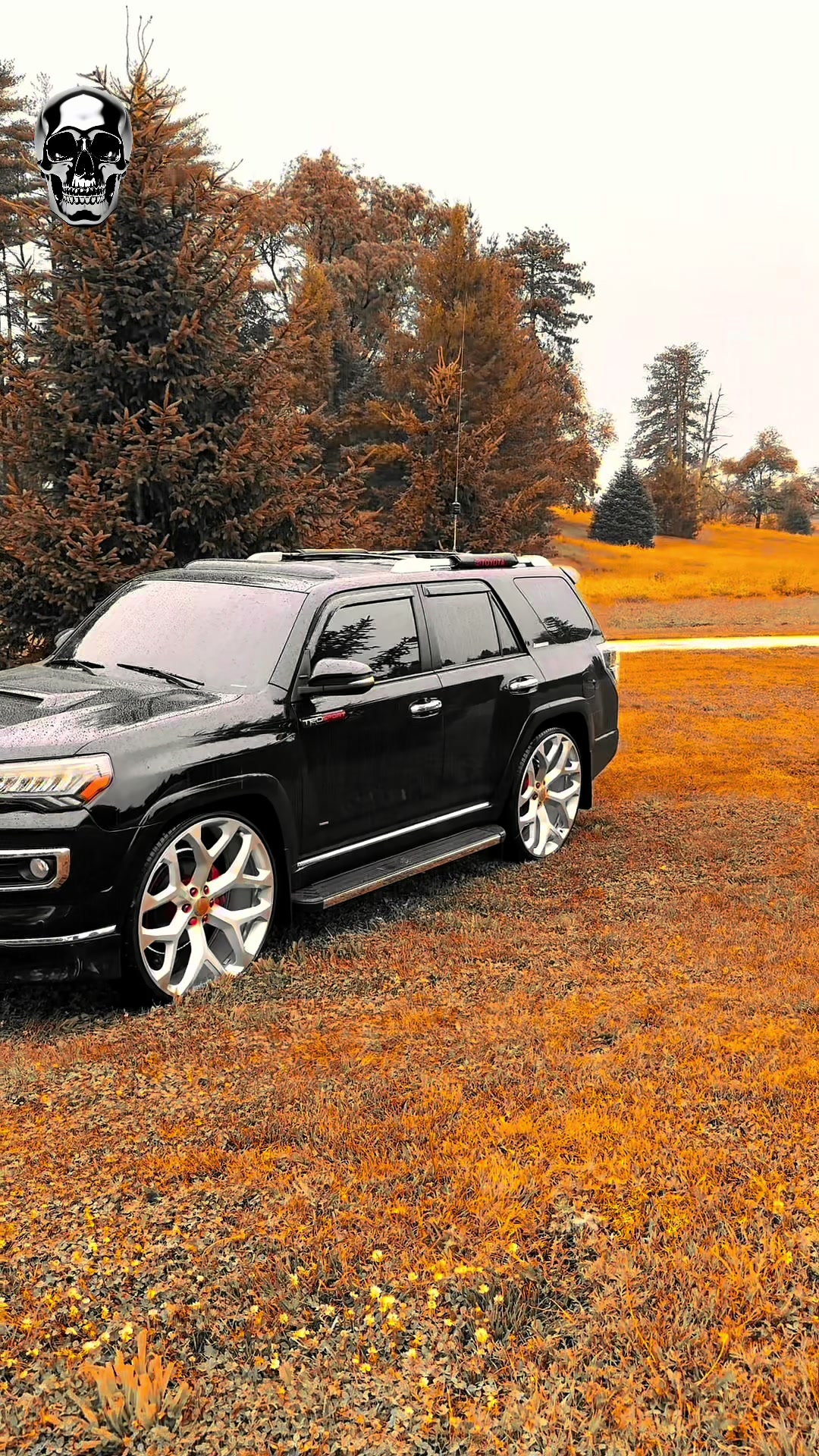 @4runner limited