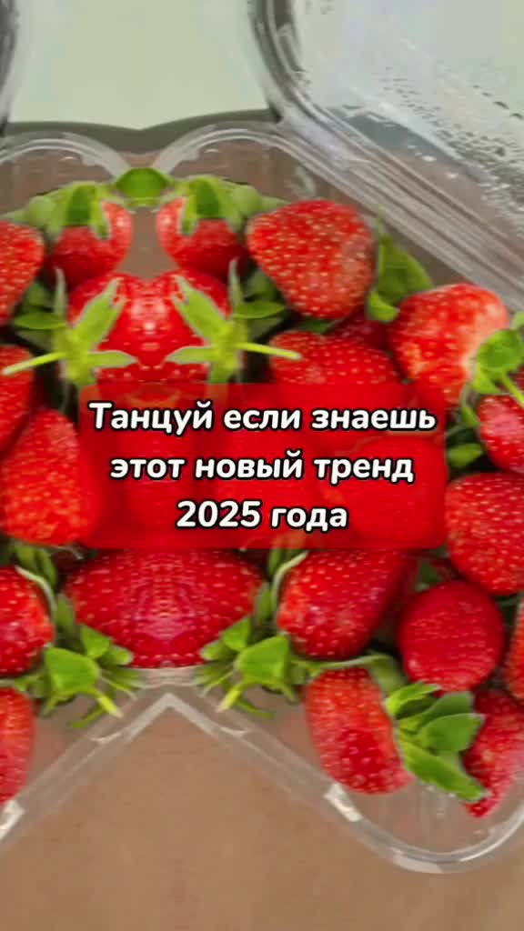 @sleppi00