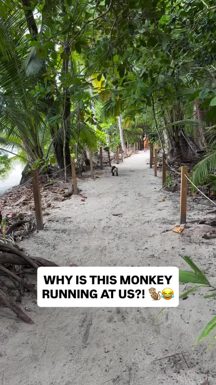 @Adventures In Retirement