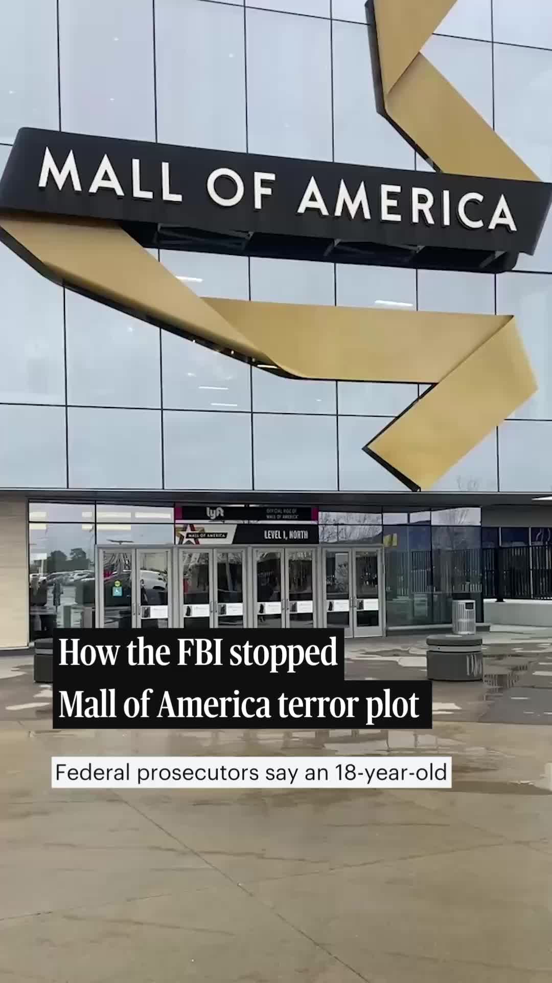 @Minnesota Star Tribune