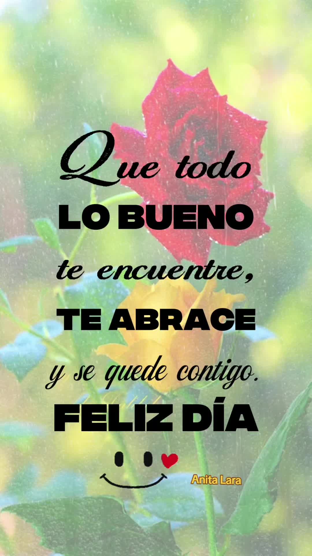 @Anita Lara