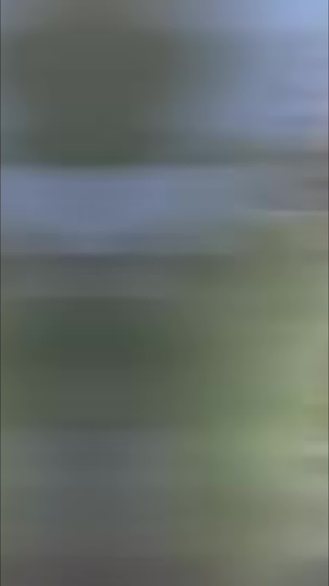 @sanedosmam