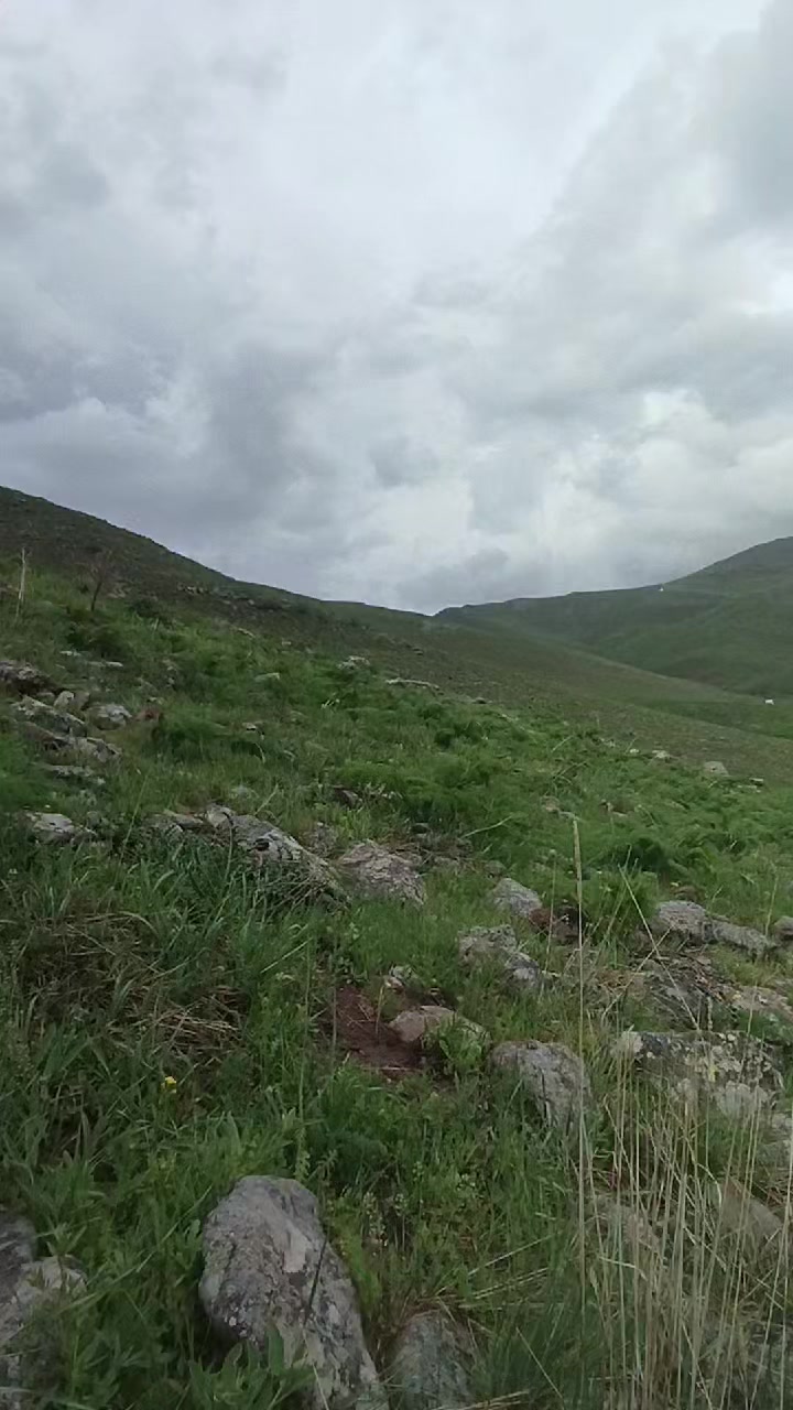@MUŞLU๛BIRHAN