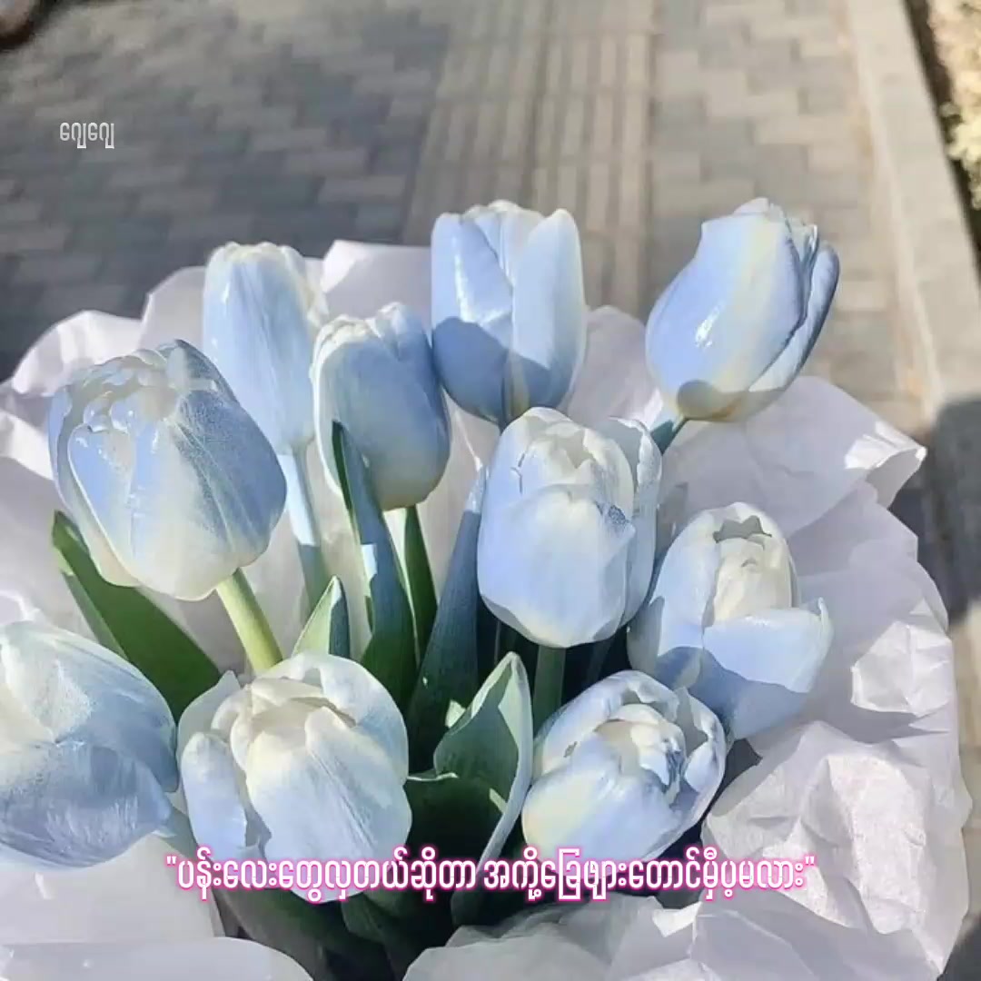 @๐๐ฒ๐พ๐๐๐พ๐๐ธ๐๐ ๐