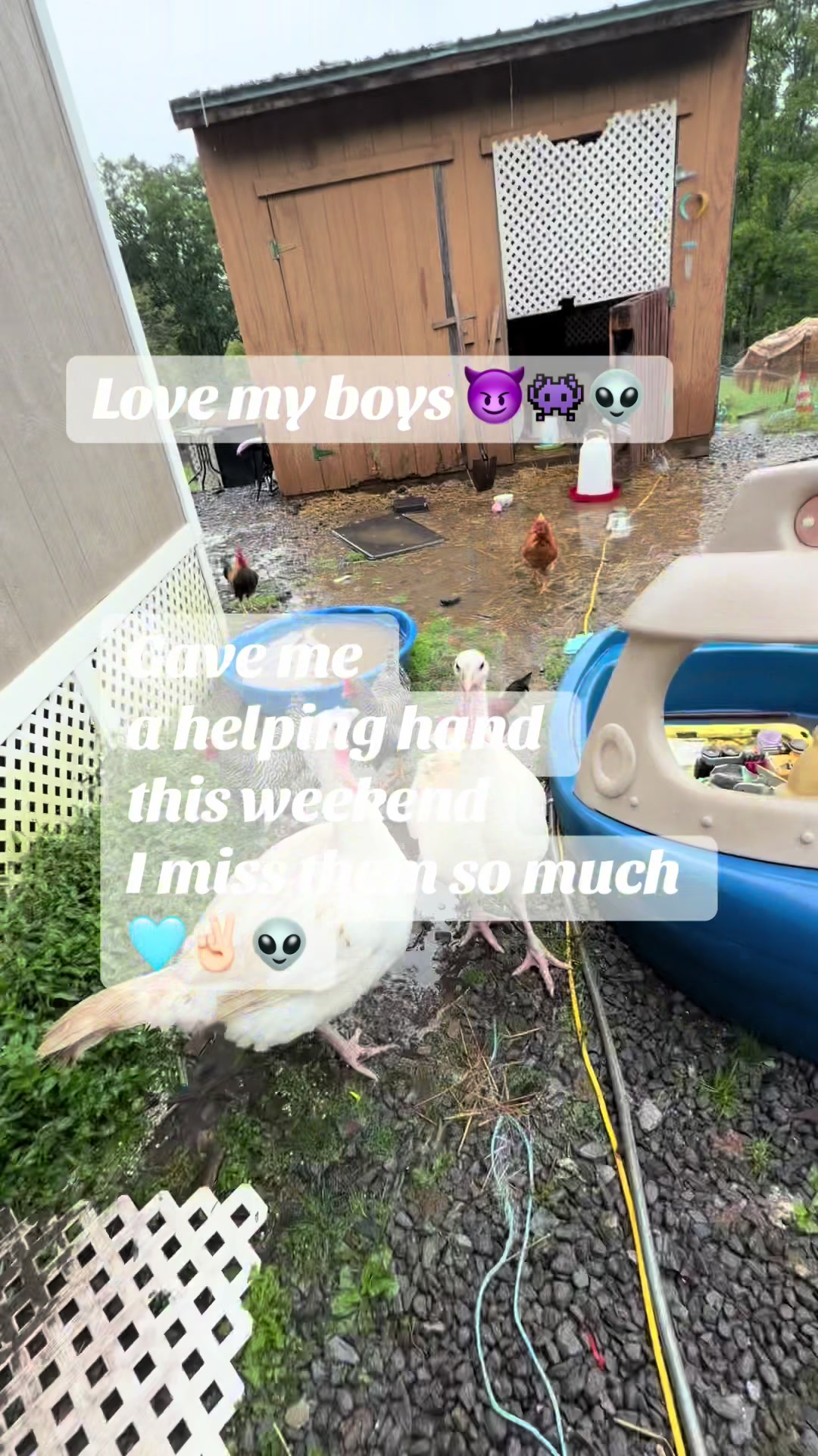 @teeva_denn