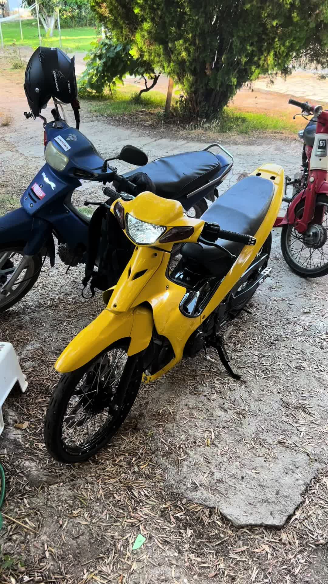 @dpa.motovibes