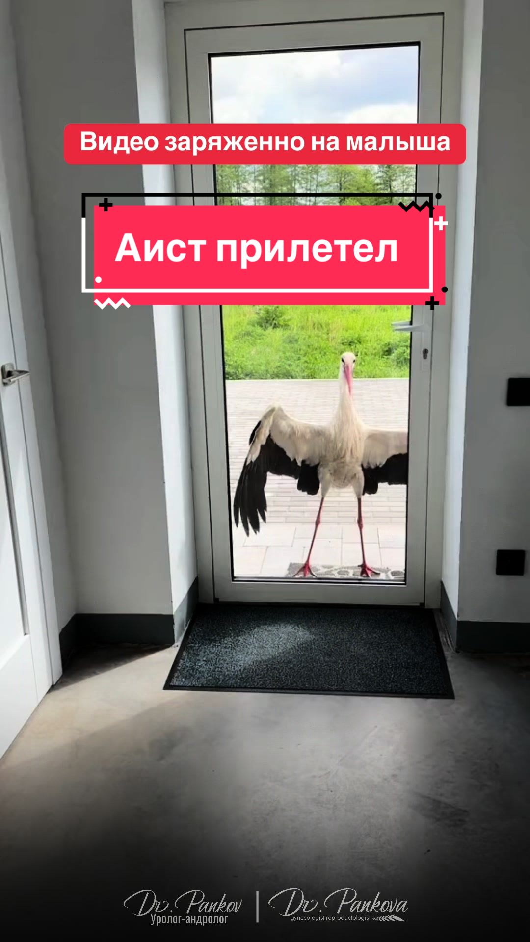 @Виктор Паньков