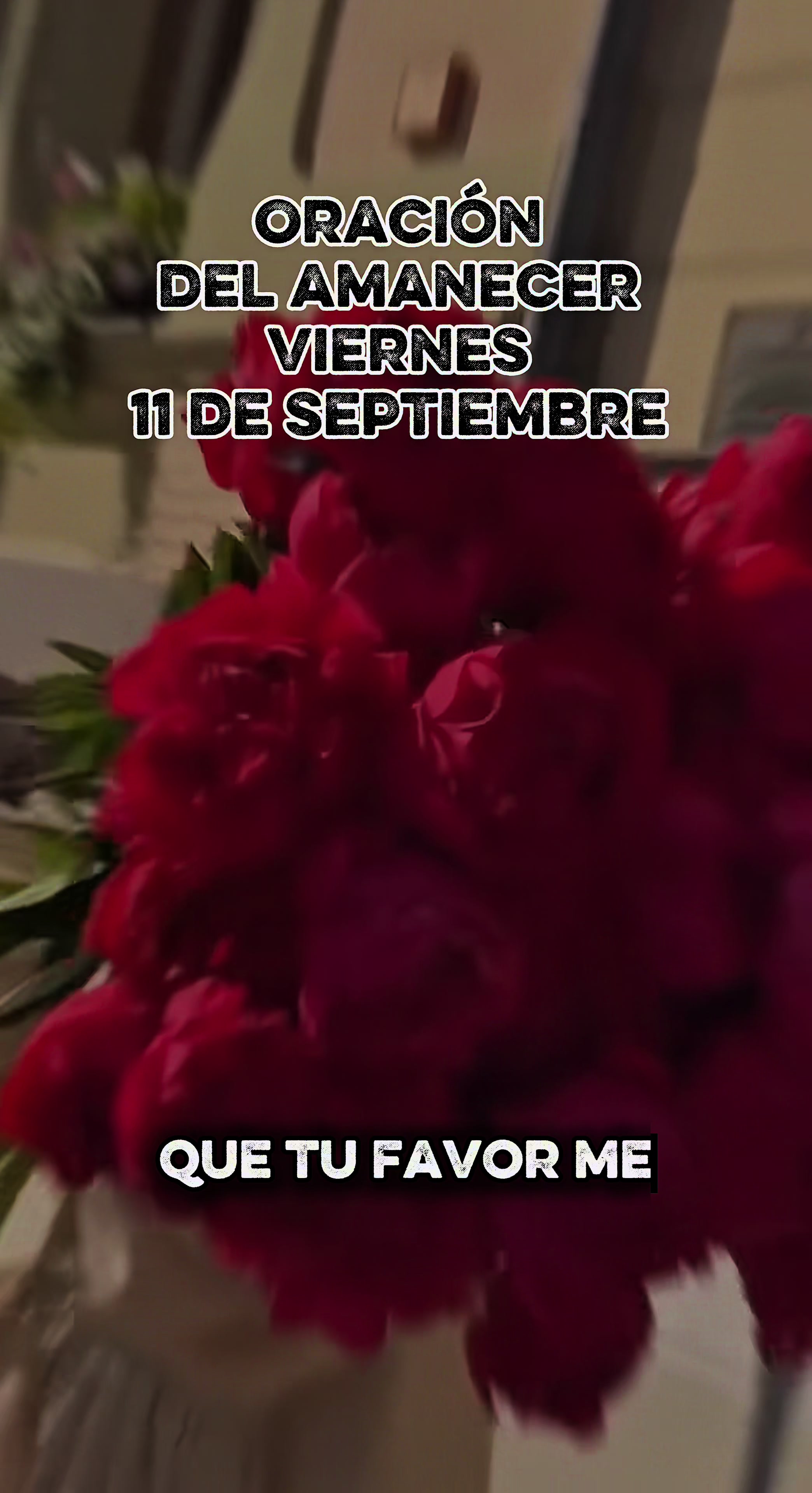@Música del Cielo