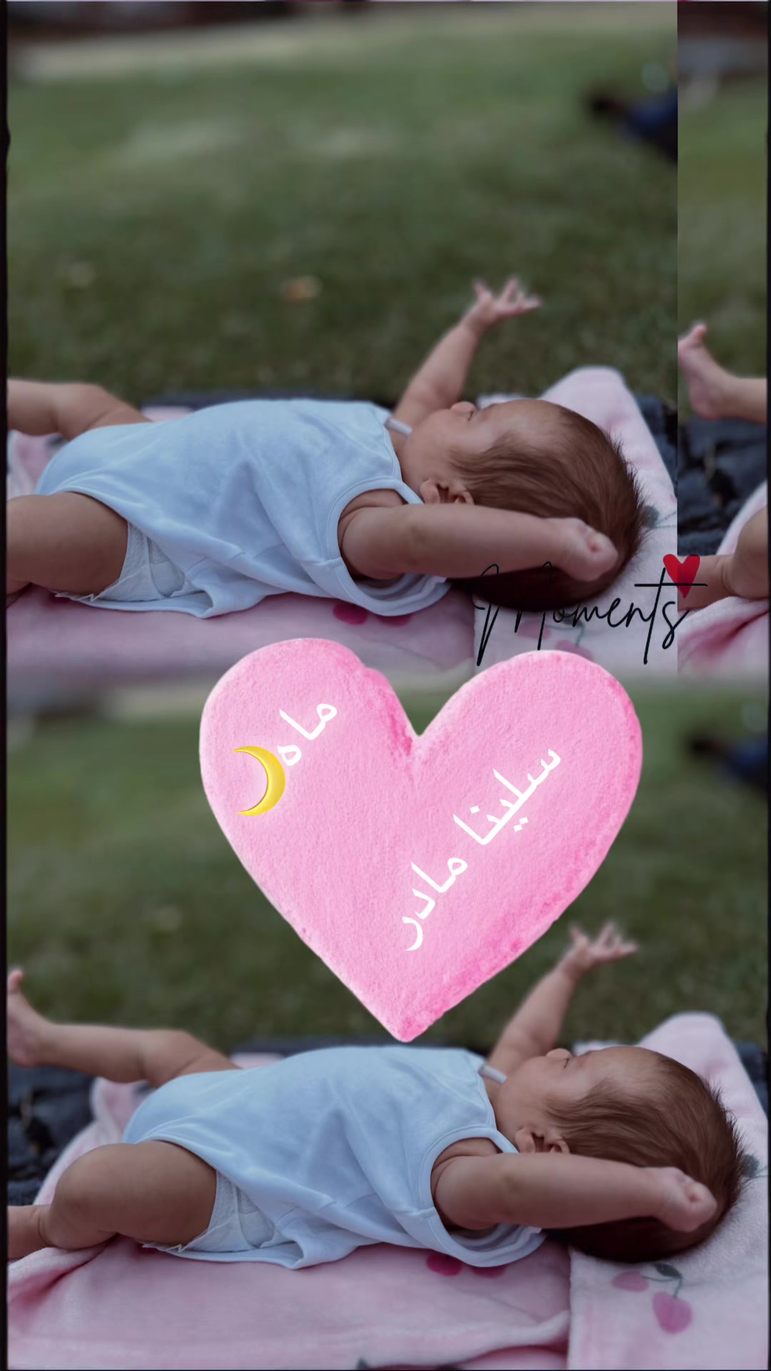 @✨✨✨ستاره سادات ✨✨✨