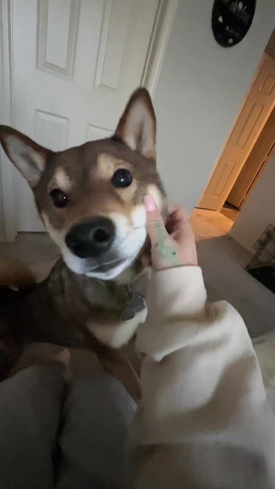 @^&bull;^