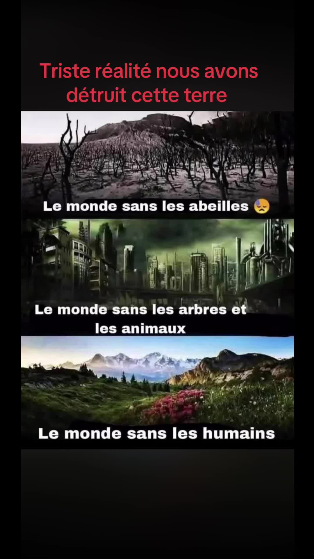 @Anonyme.59253