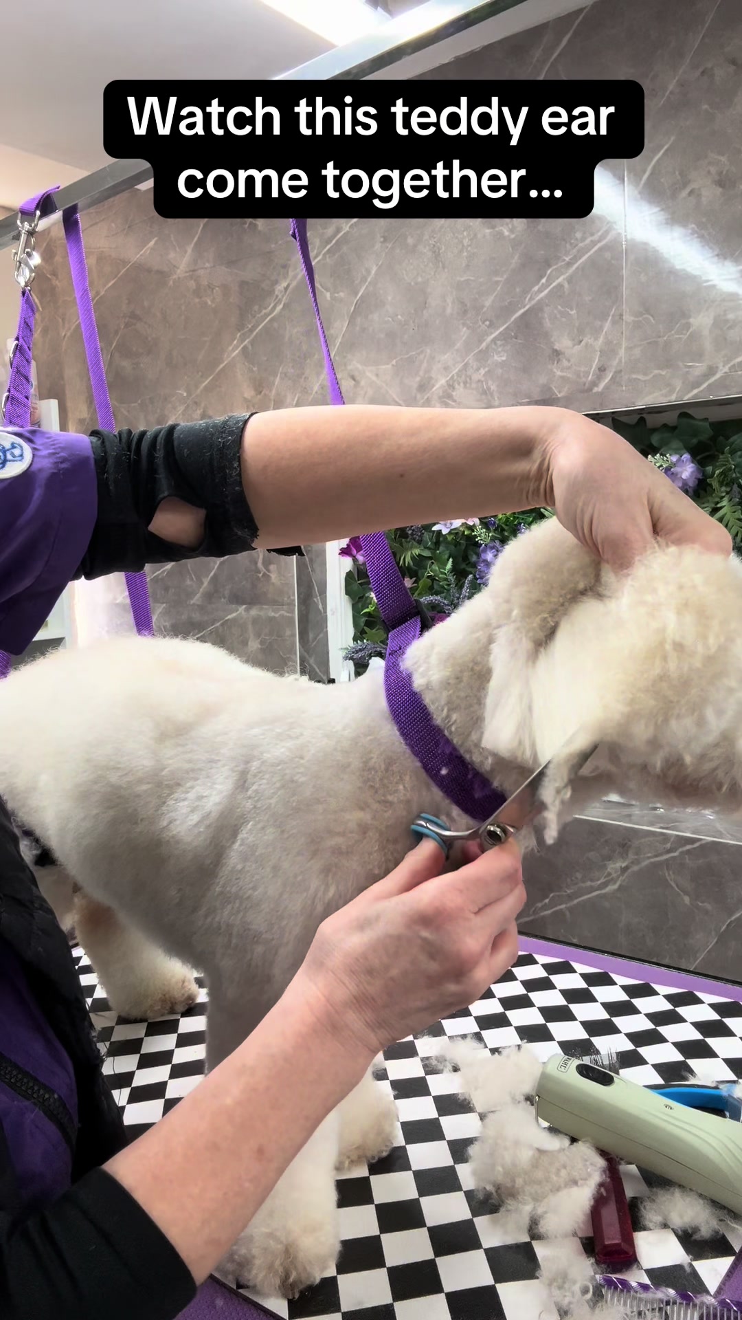 @Poochiepoosdoggrooming