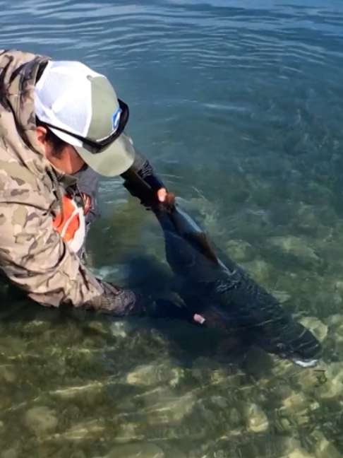@Fishing TV