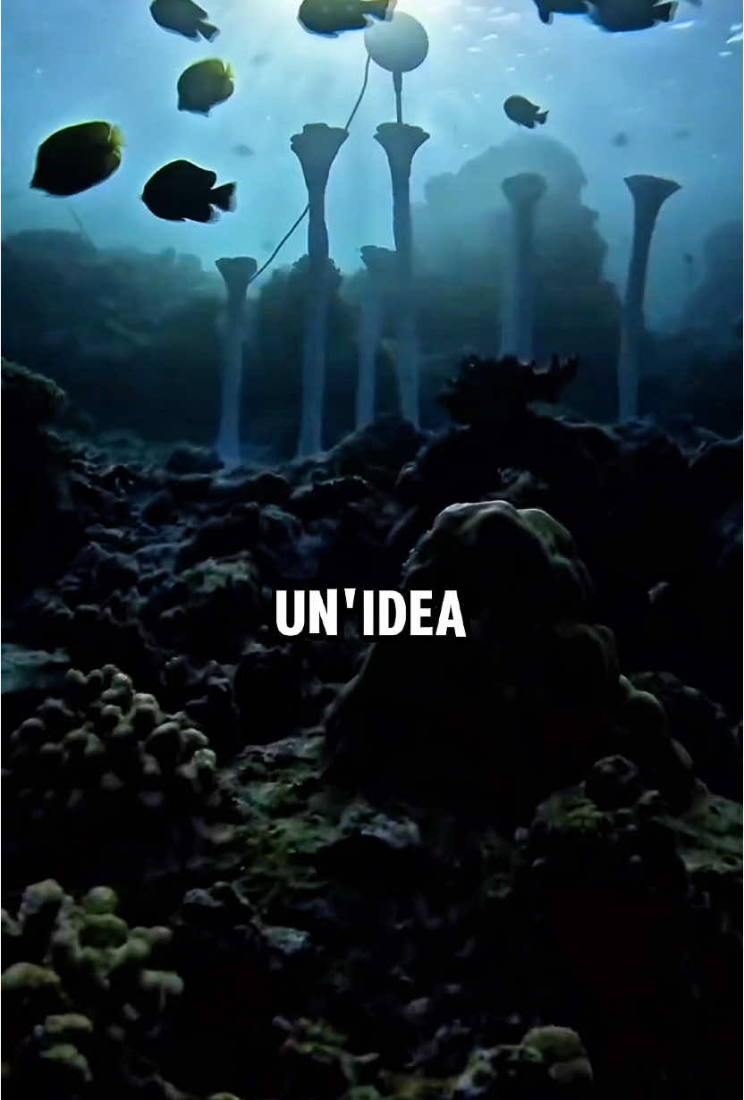 @Roberto Fazzi
