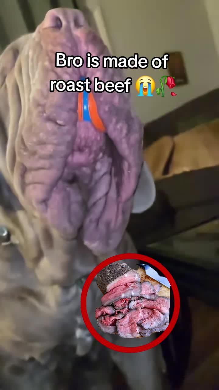 @Promanskills