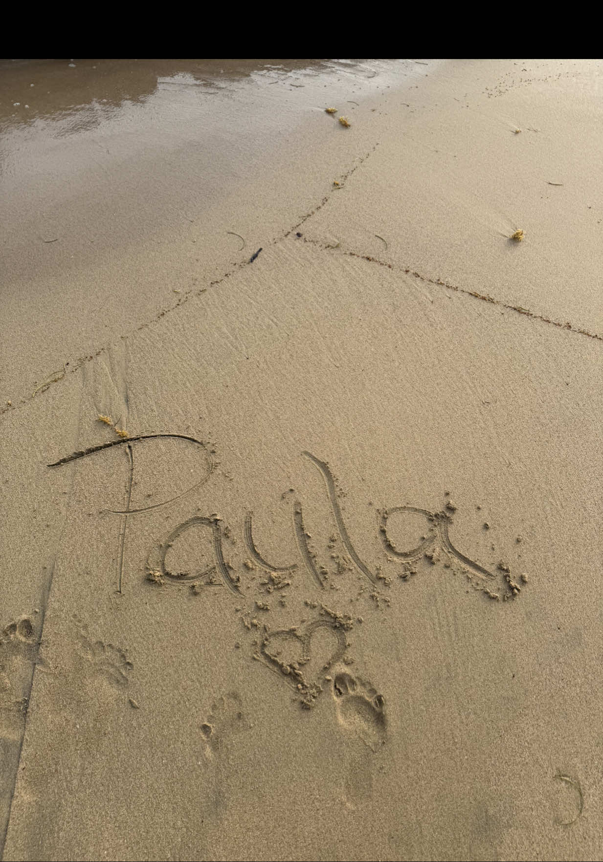 @Paula