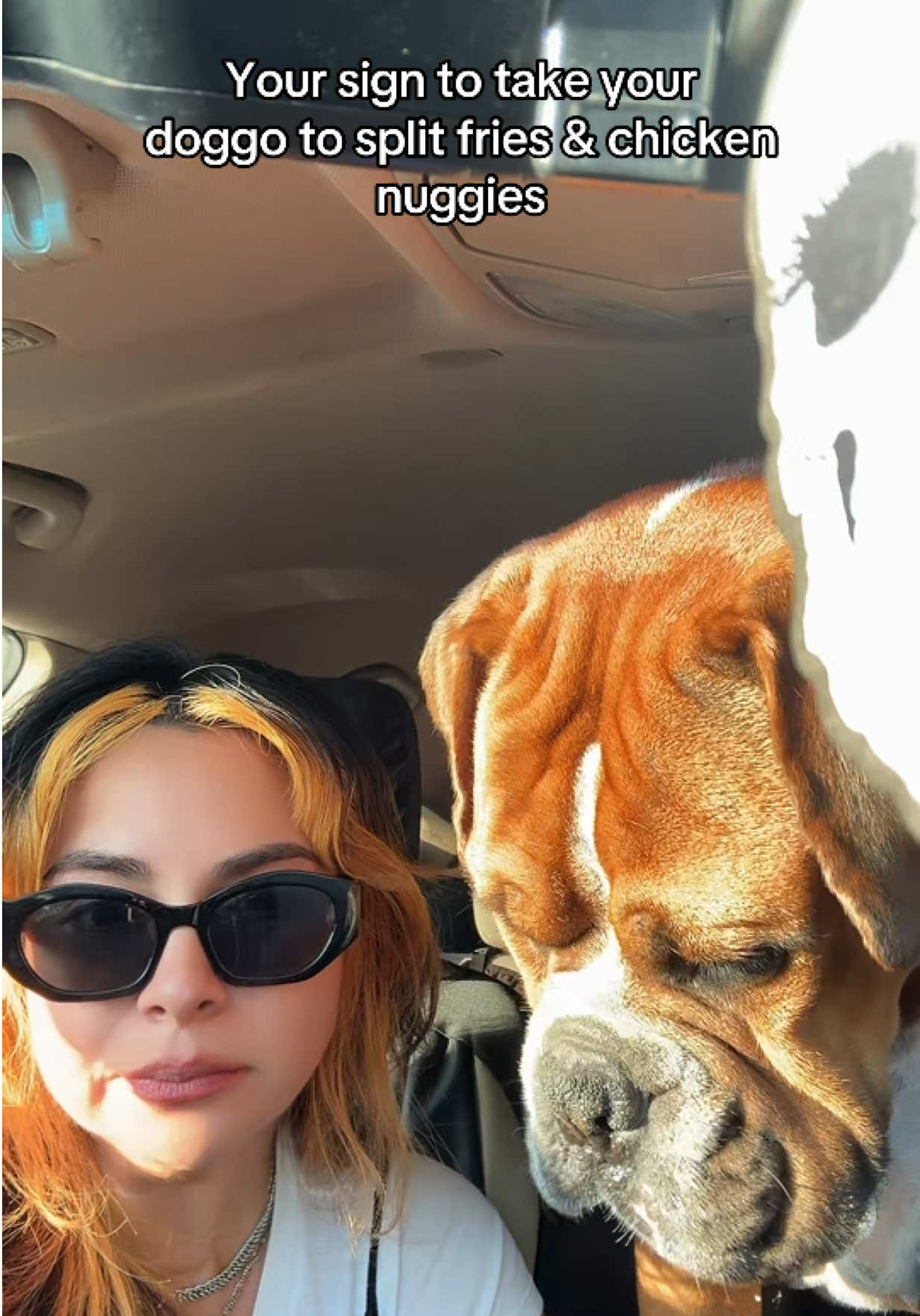 @hauntedlagirl
