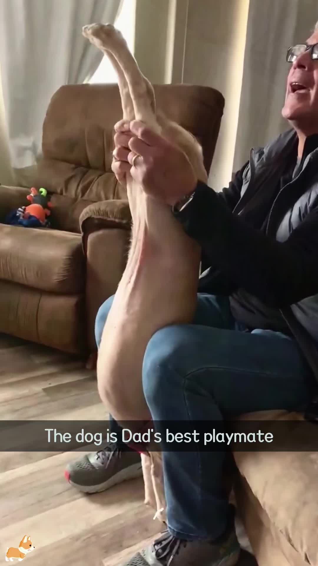 @SneakyFails