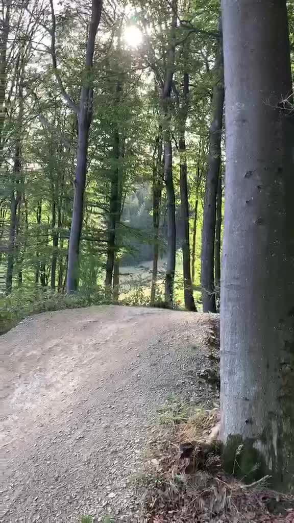 @🌲Eugen _freeride🌲