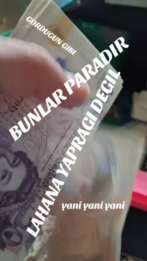 @user90228872144