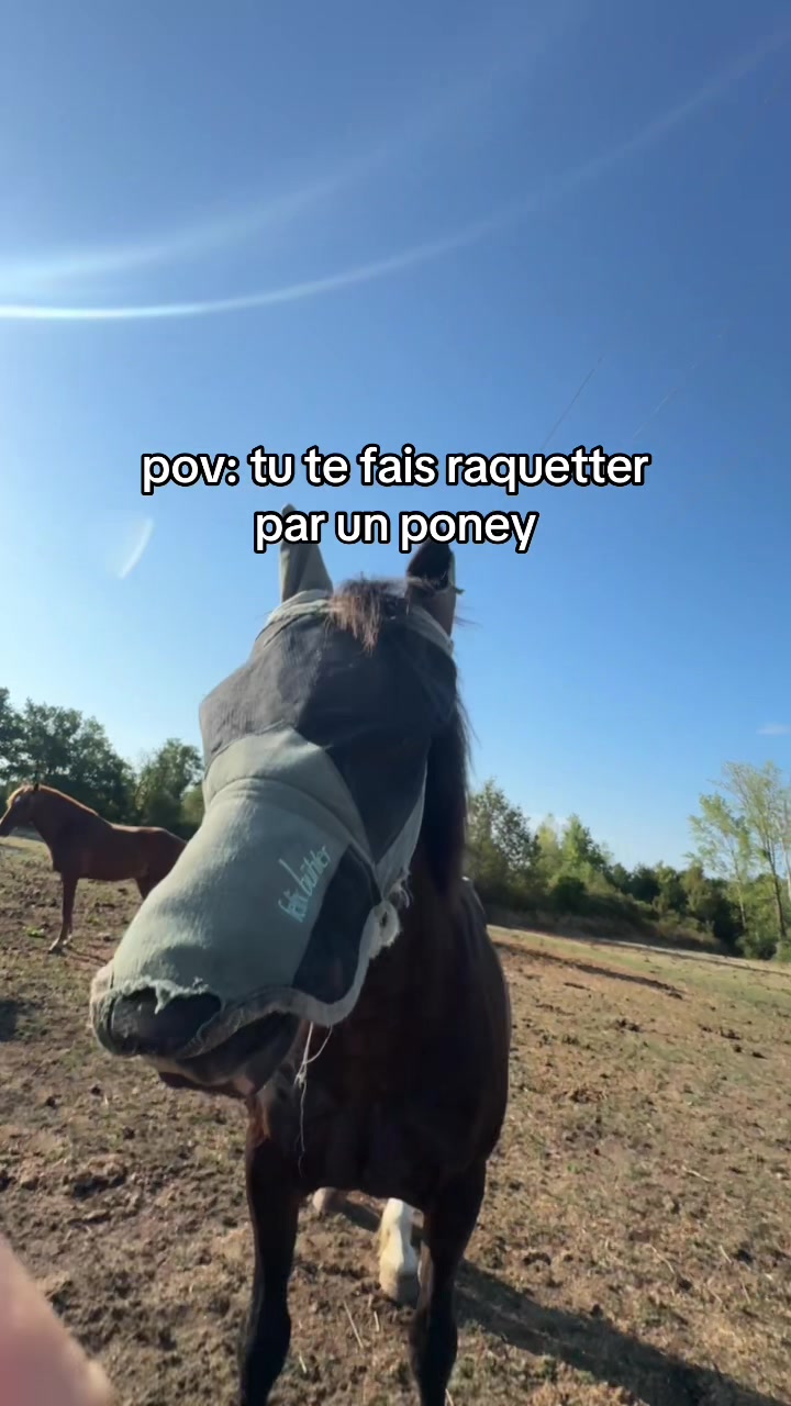@Seren the pony ๐ด