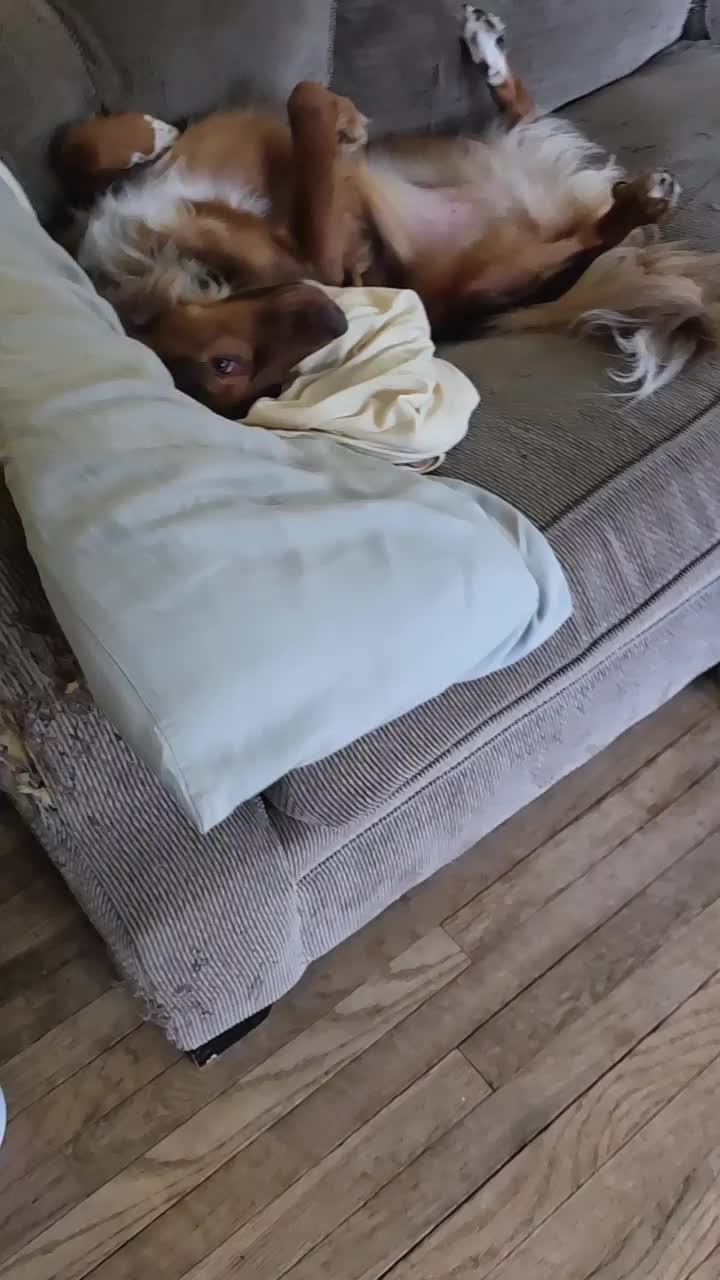 @Dudeimsleepin