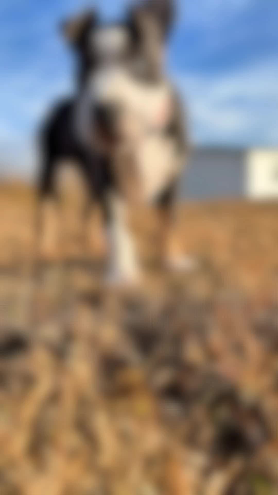 @ððð¥ðð±ð
ðŠð±ð ð¥_ððªð¶ð