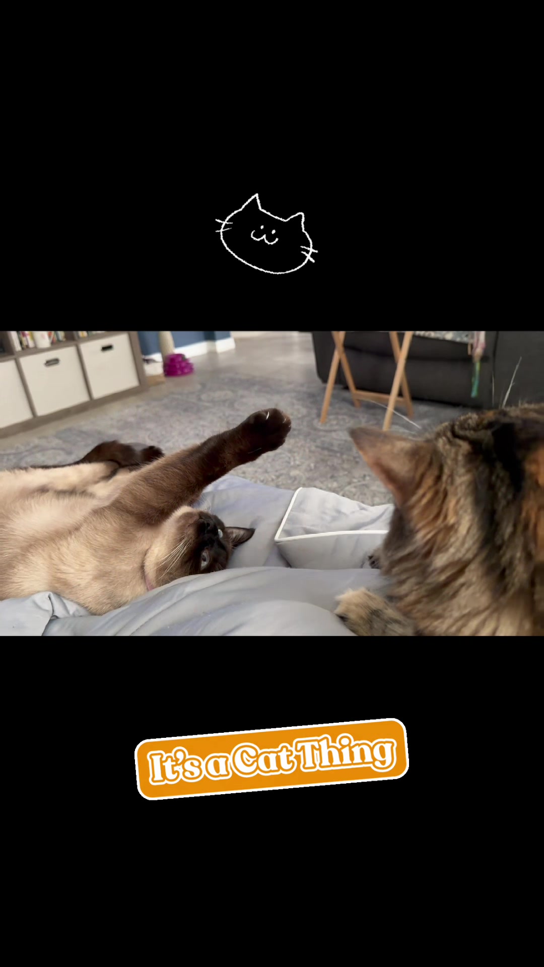 @GoofyPets4You