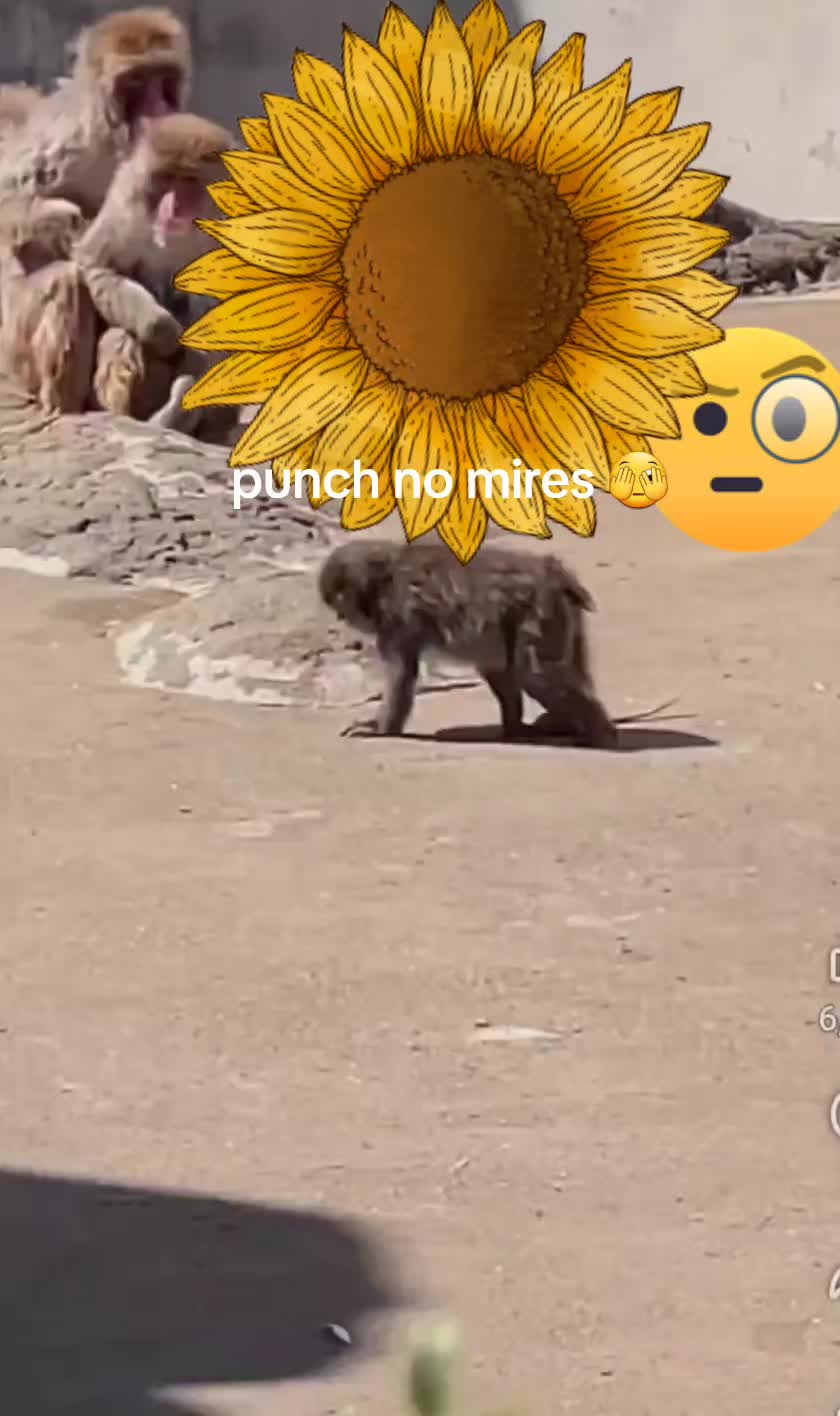 @Punch baby