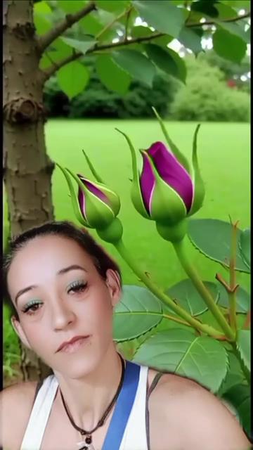 @🧚🧚Campanilla🧚🧚