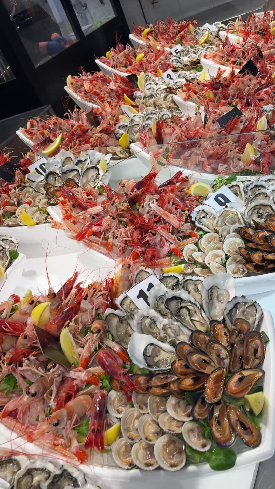 @Pescheria nautilus ostuni