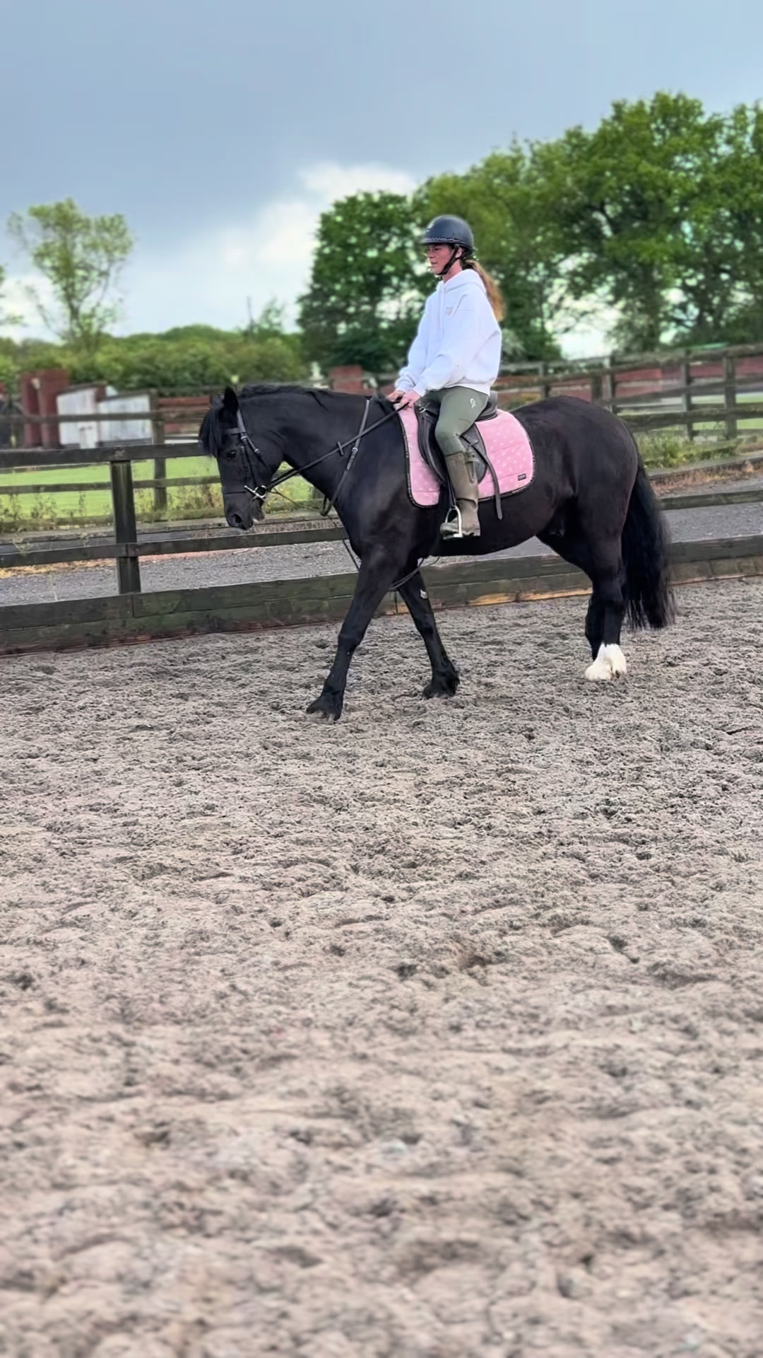 @Sophie&merlin🌸🐴