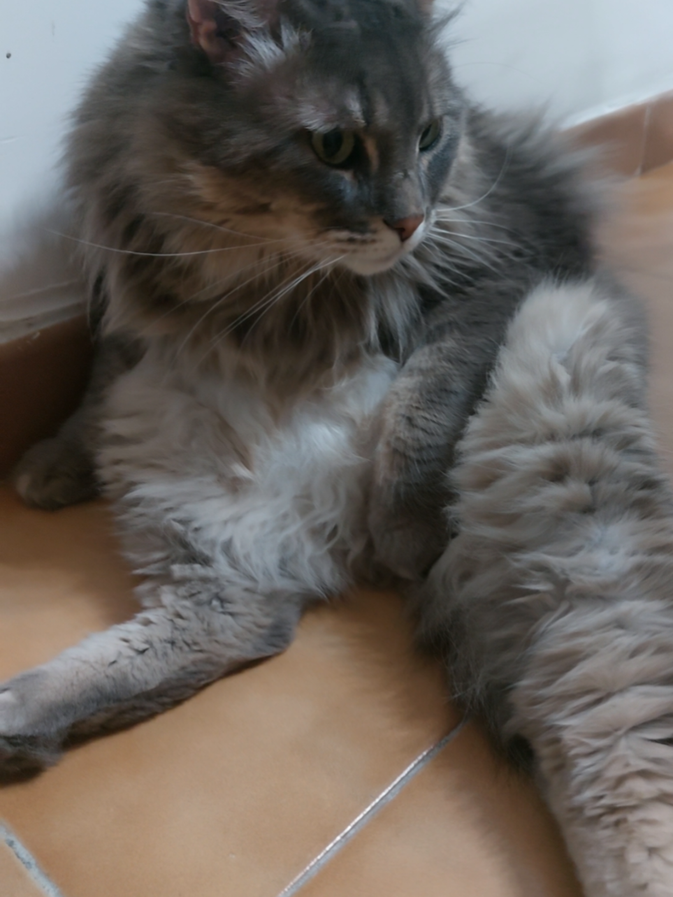 @♡_Kiko e Cicciotto_♡