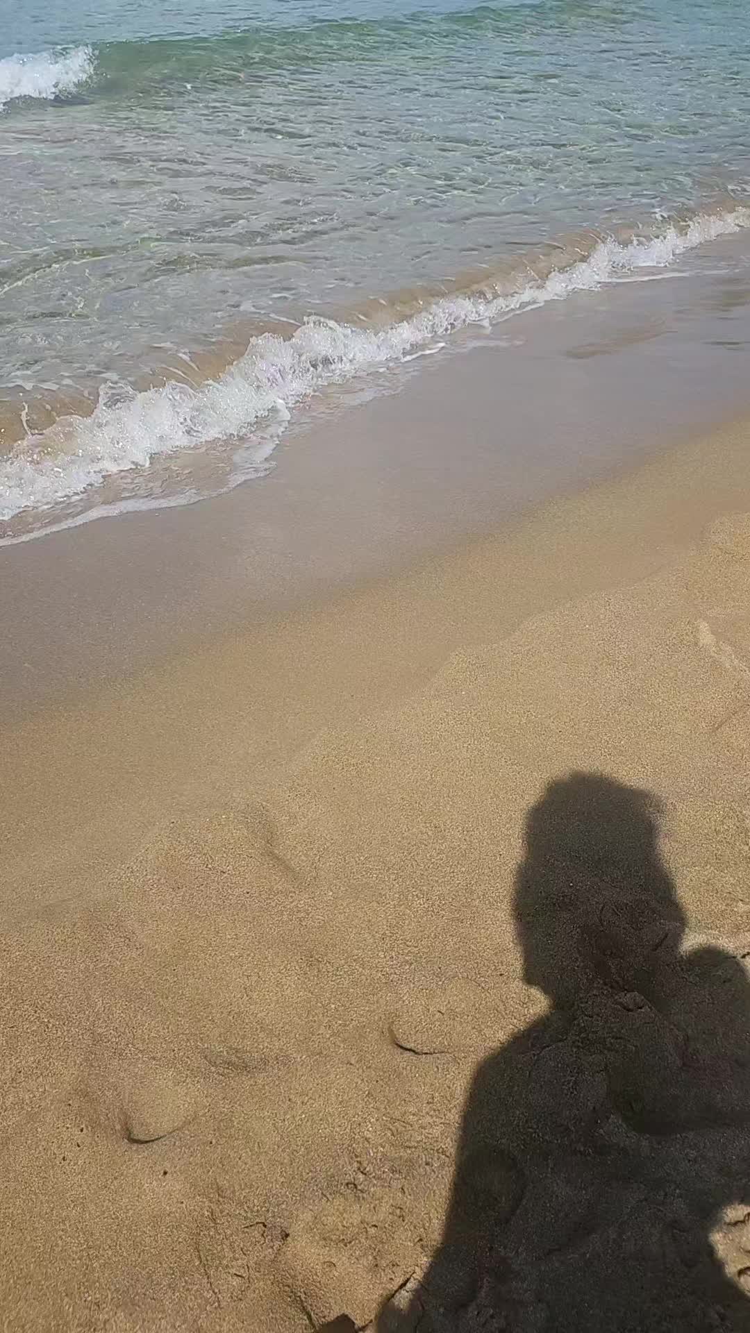 @armanda 👑