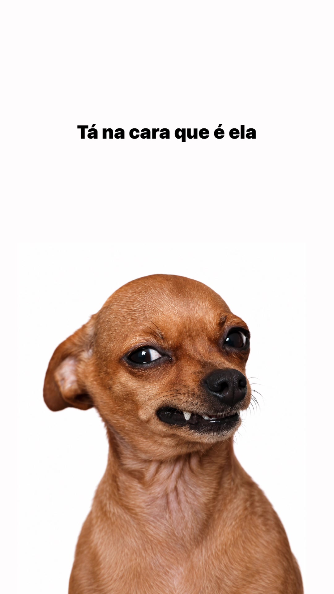 @user1606