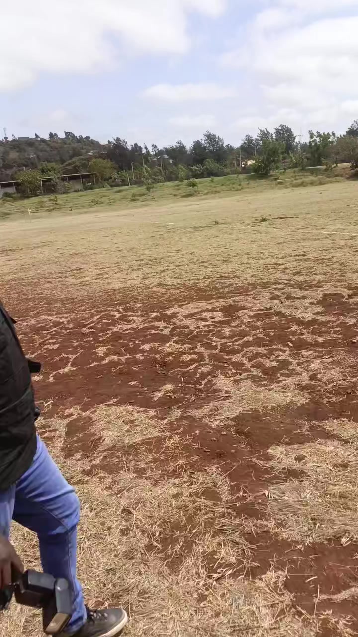 @stush254