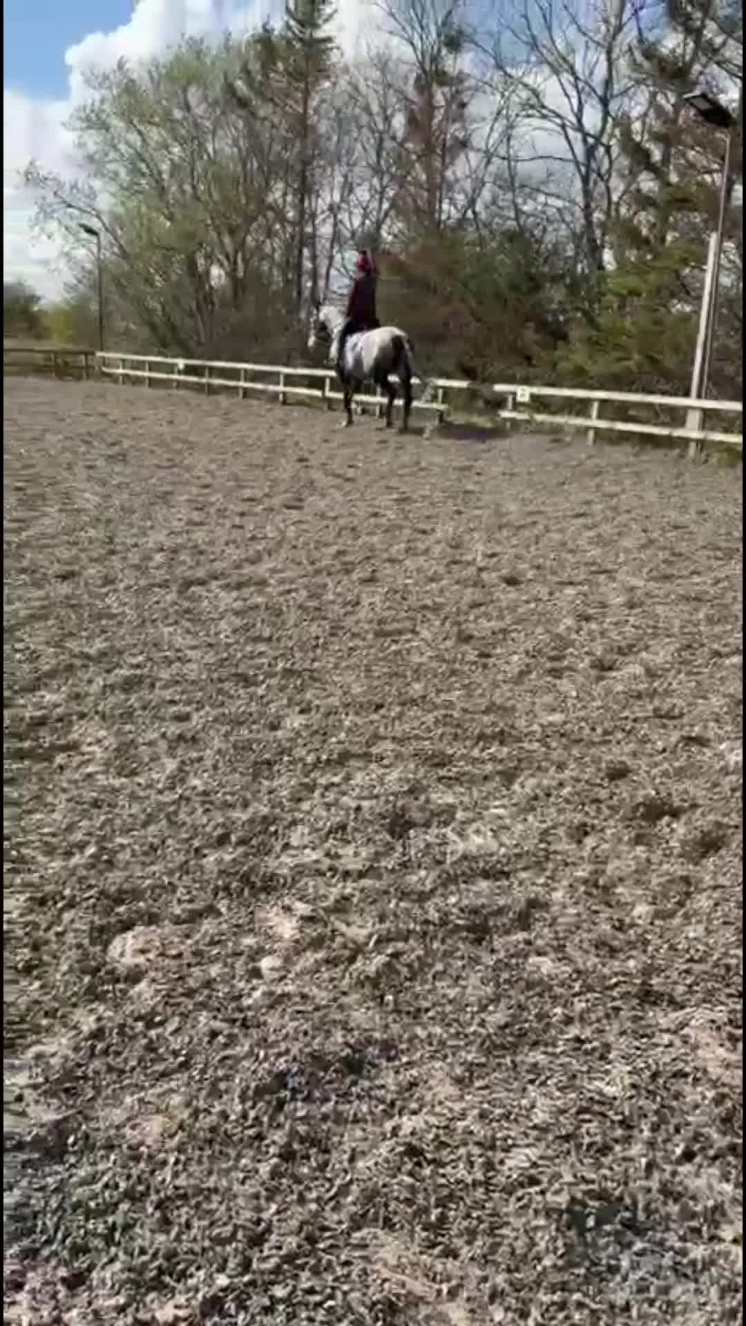 @WillowsPonies