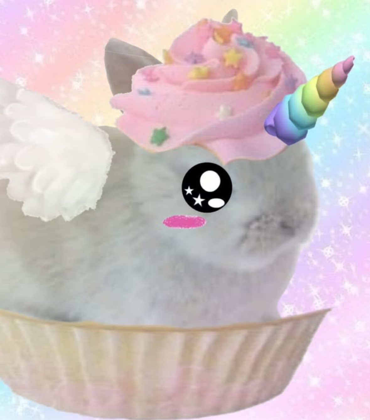 @kitty ♡’s mizi