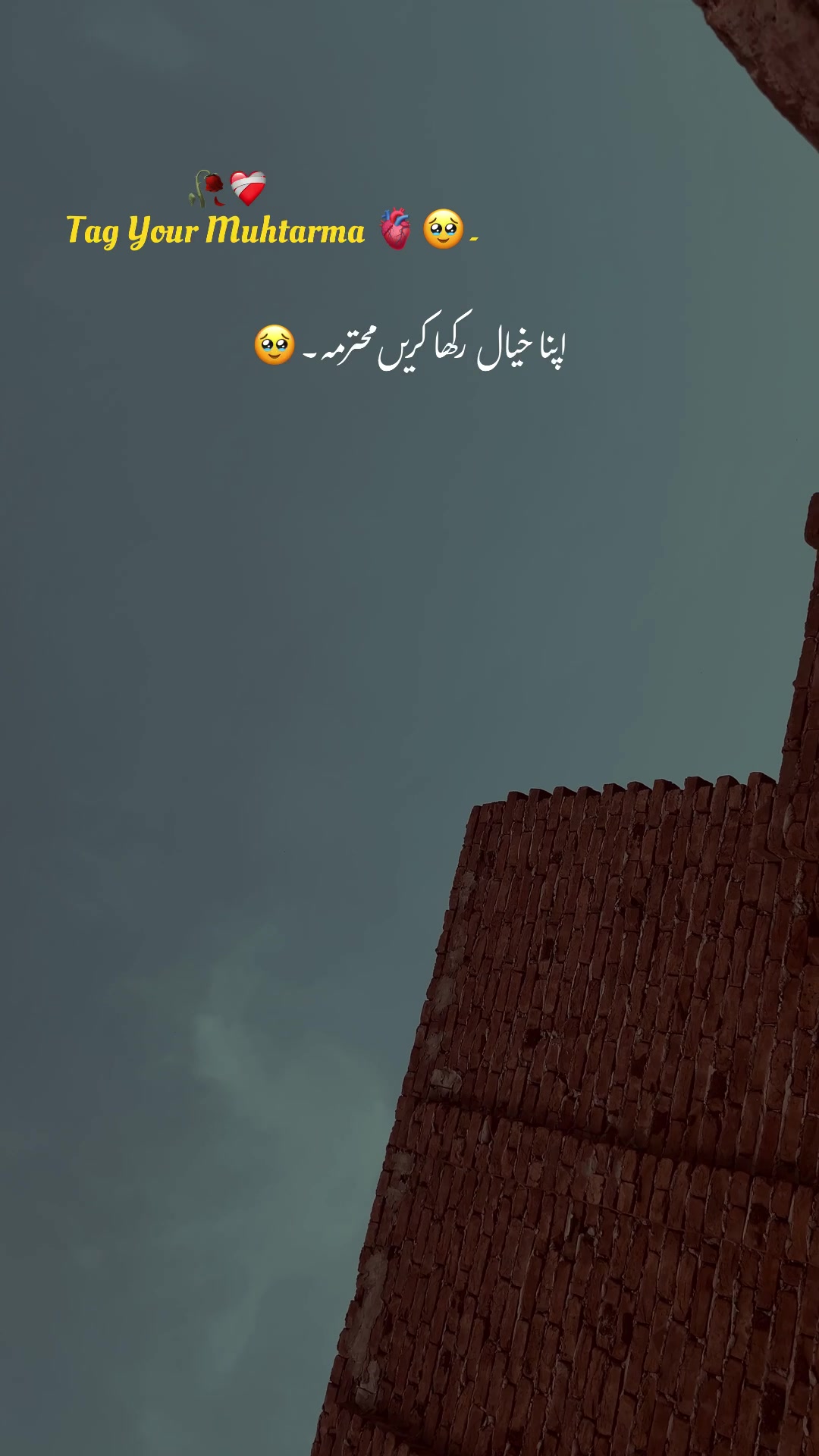 @𝐀𝐂𝐂 𝐅𝐎𝐑 𝐒𝐀𝐋𝐄 🥹
