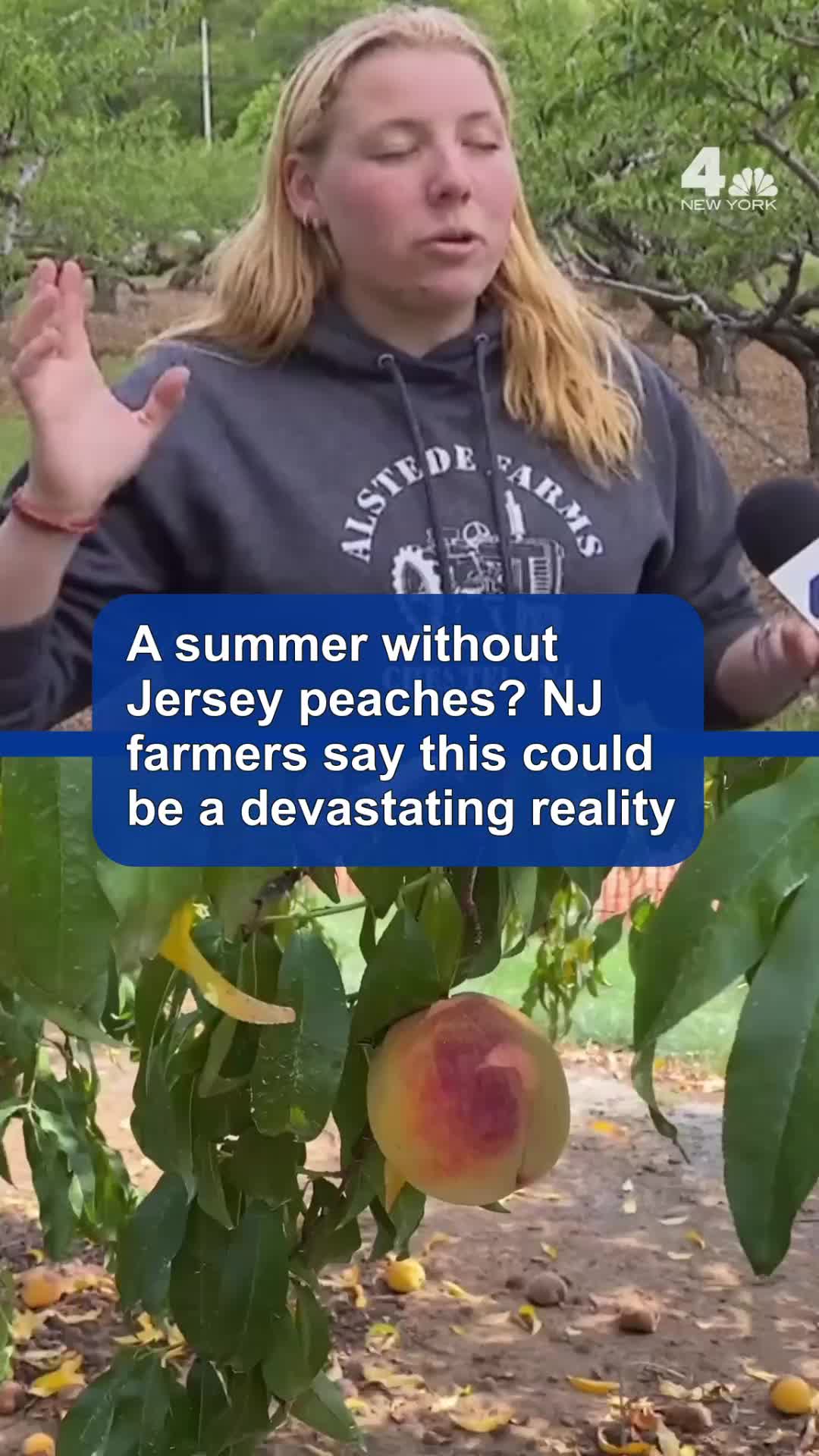 @NBC New York