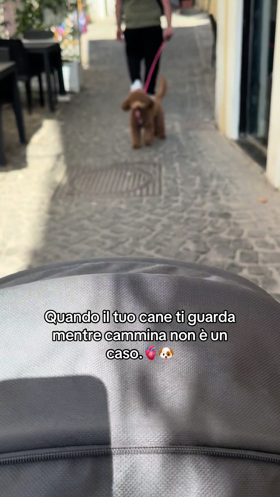 @SaraIacobino02