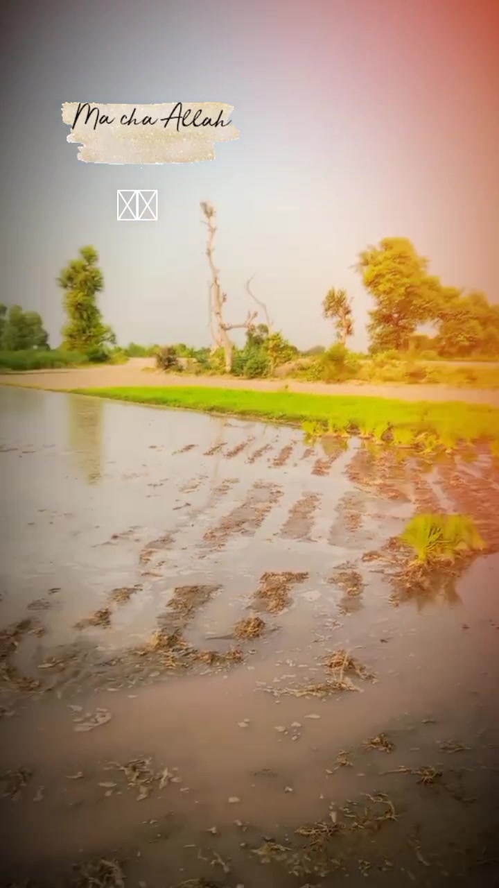 @Sardar RAIS Farhan Burrah