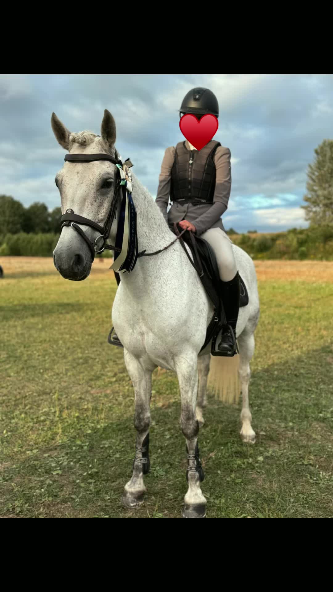 @𝐌𝐞𝐣𝐚 𝐖𝐚𝐡𝐥𝐬𝐭𝐨̈𝐦