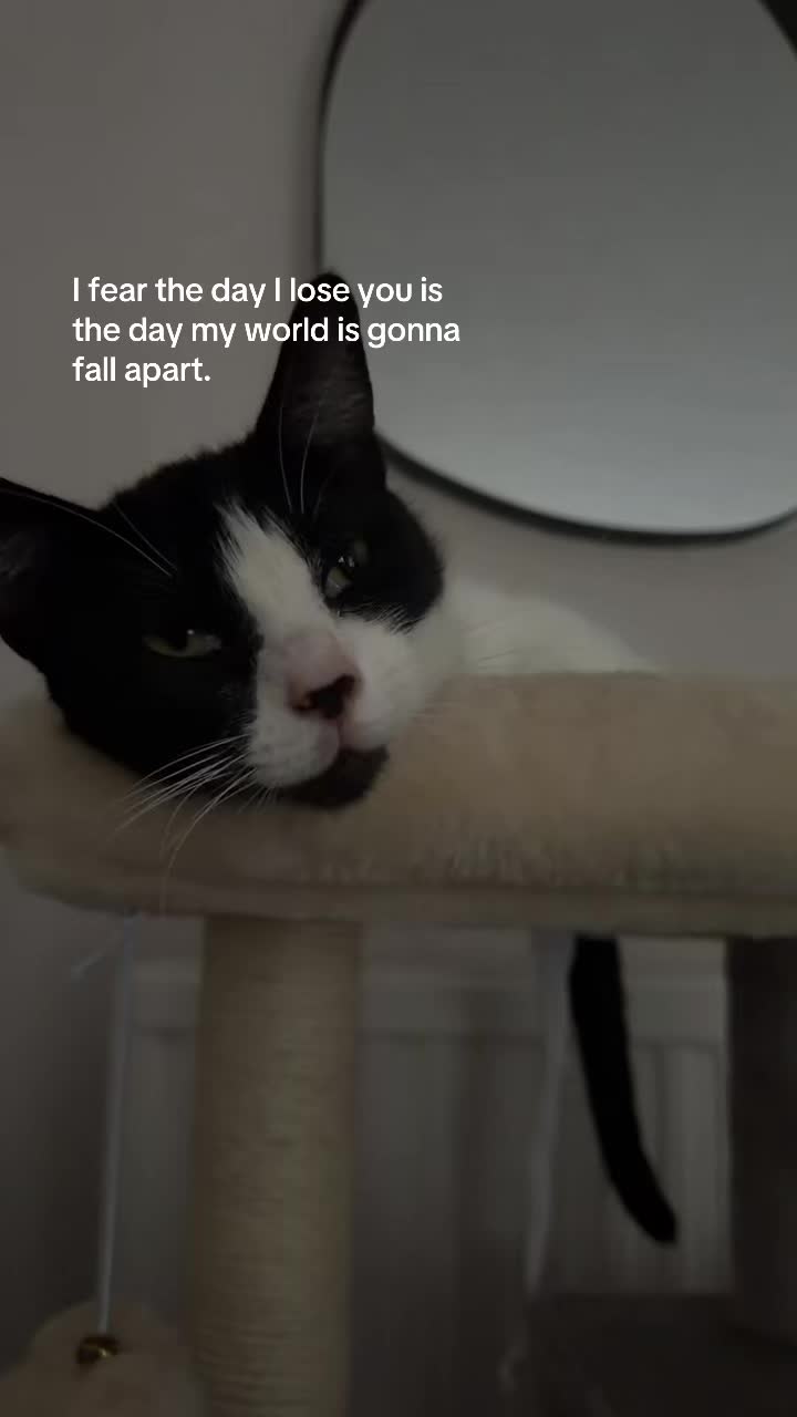 @A🖤.
