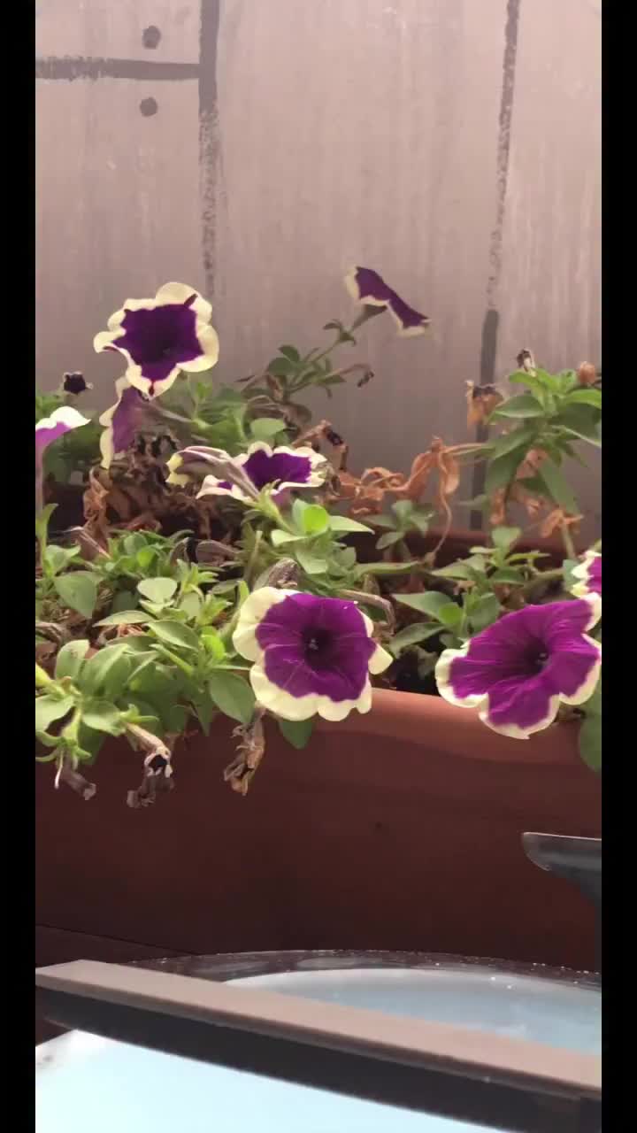 @Alexander