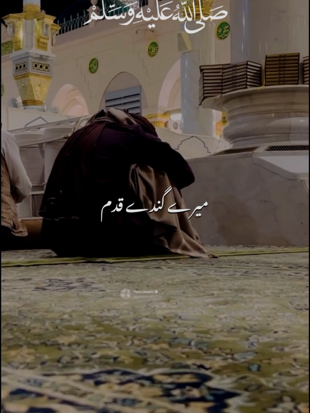 @𝙈𝘼𝙅𝙄𝘿 𝙒𝙍𝙄𝙏𝙀𝙎 ✨